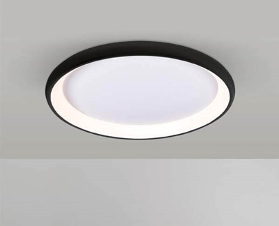 ROSE NEW BLACK\WHITE