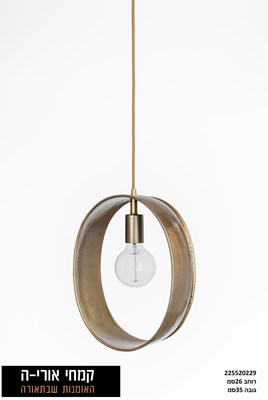 גלגל 55 סילבר