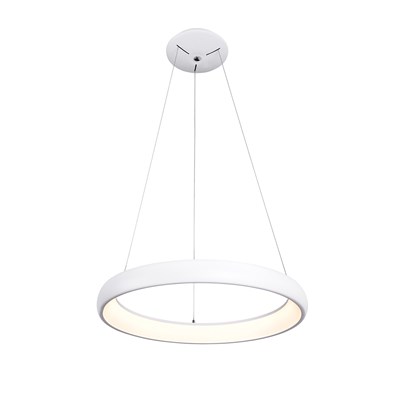 NEW ROSE WHITE 40Q60Q80